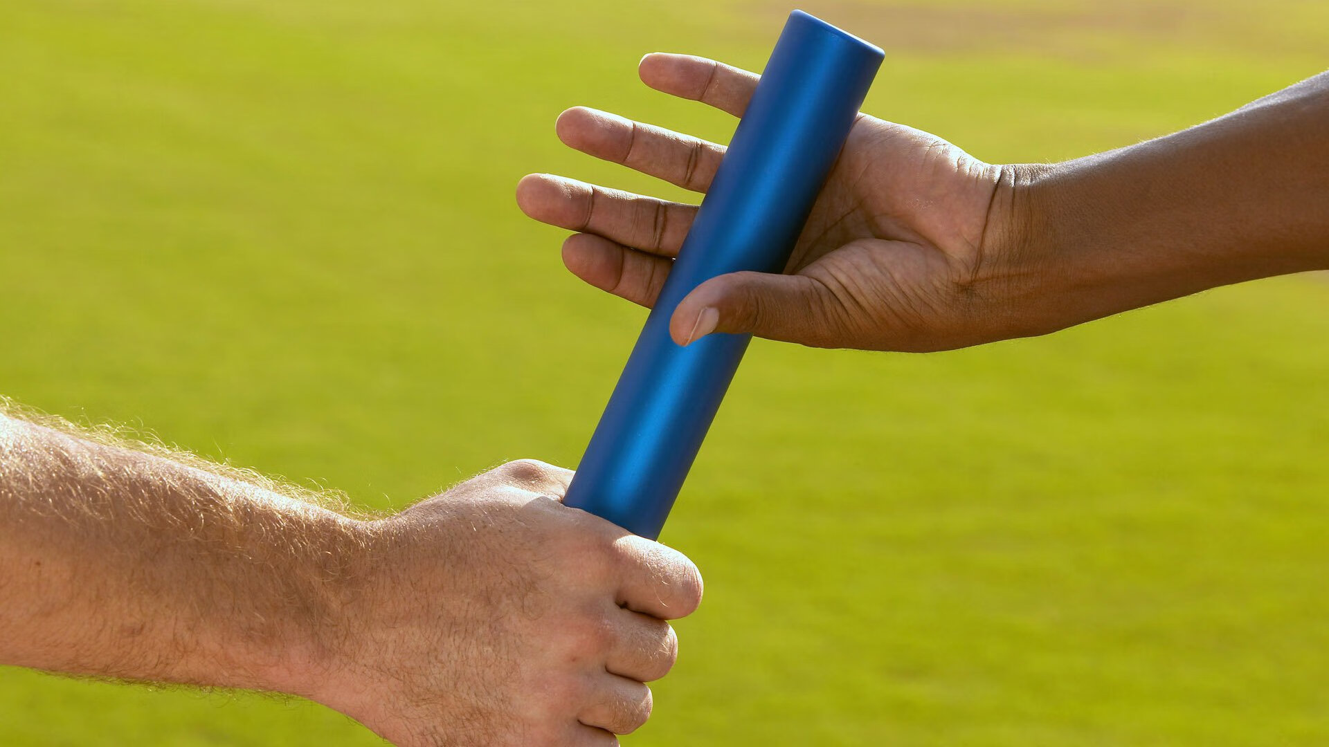 九游娱乐电竞站-_野生动植物保护跑：运动与环保双赢_，野生动植物保护宣传海报