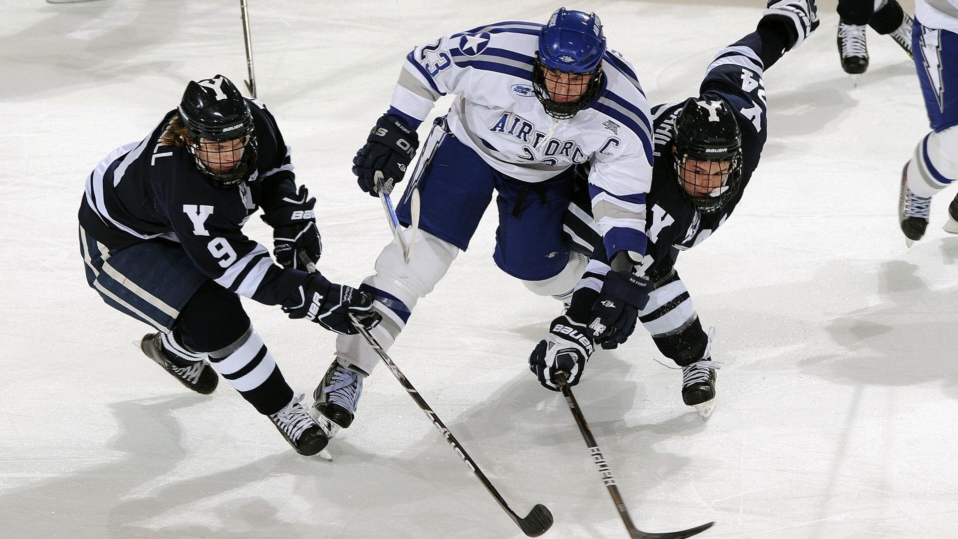 _野生动植物保护跑：运动与环保双赢_，野生动植物保护宣传海报